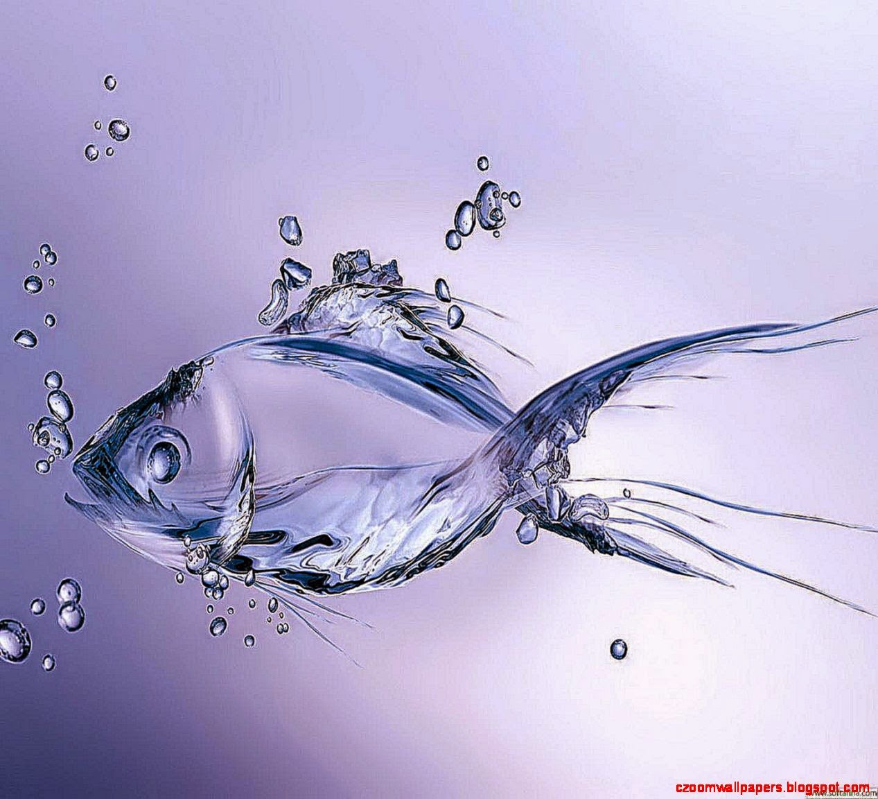 hd fish wallpaper for mobile,water,fish,fish,liquid,organism