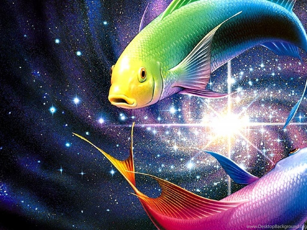 colour fish wallpapers,fish,fish,marine biology,organism,underwater