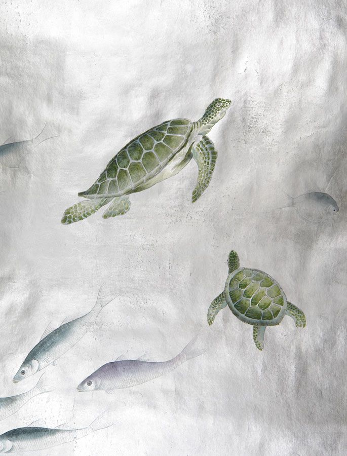papier peint design poisson,tortue de mer,tortue de mer olive ridley,tortue verte,tortue,tortue de mer kemps ridley