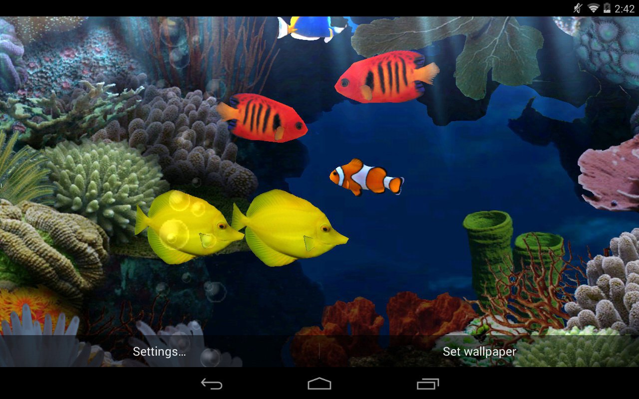 acquario live wallpaper,biologia marina,pesce,pesce,scogliera,subacqueo