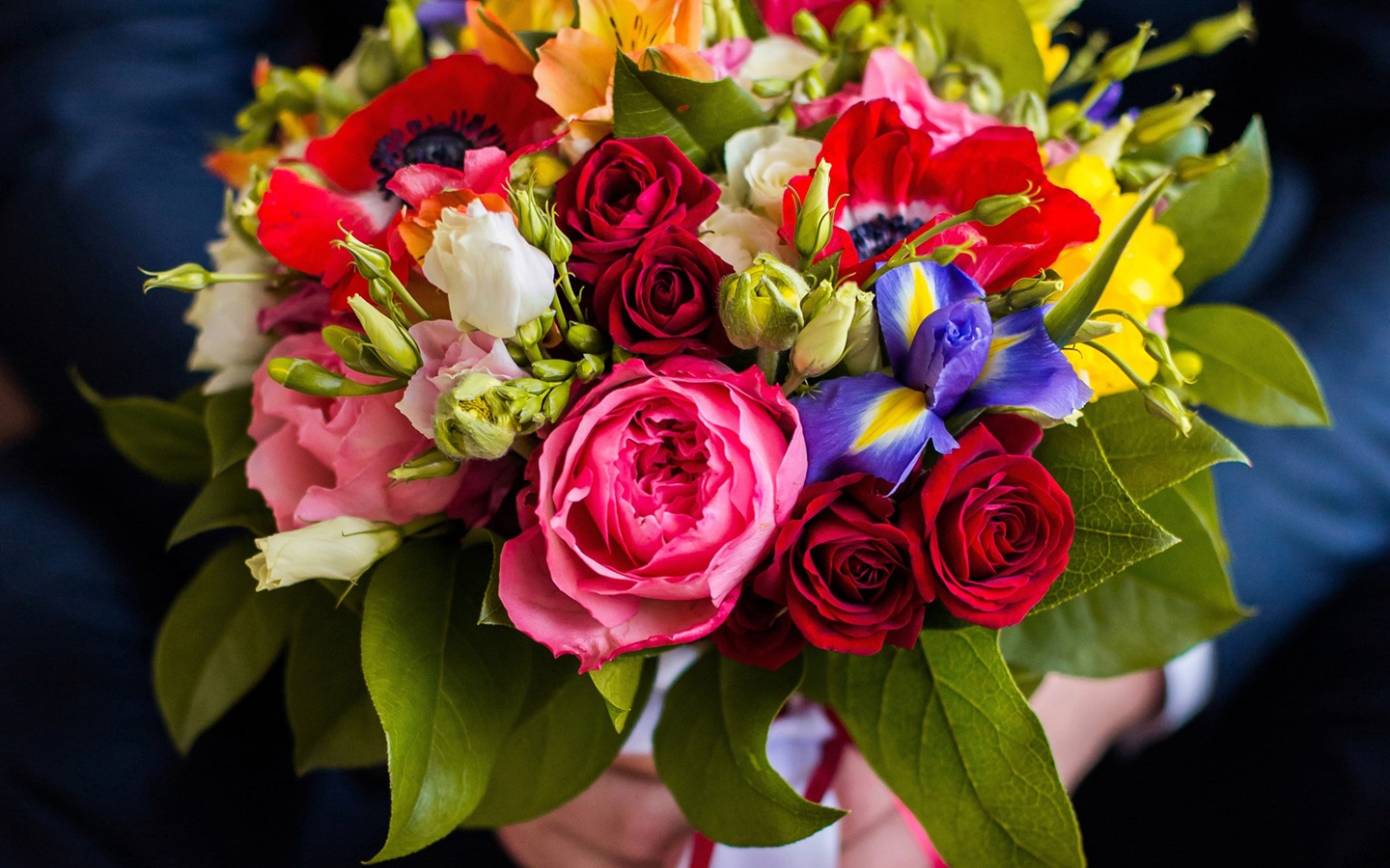 bouquet tapete,blume,strauß,pflanze,blumen arrangement,schnittblumen