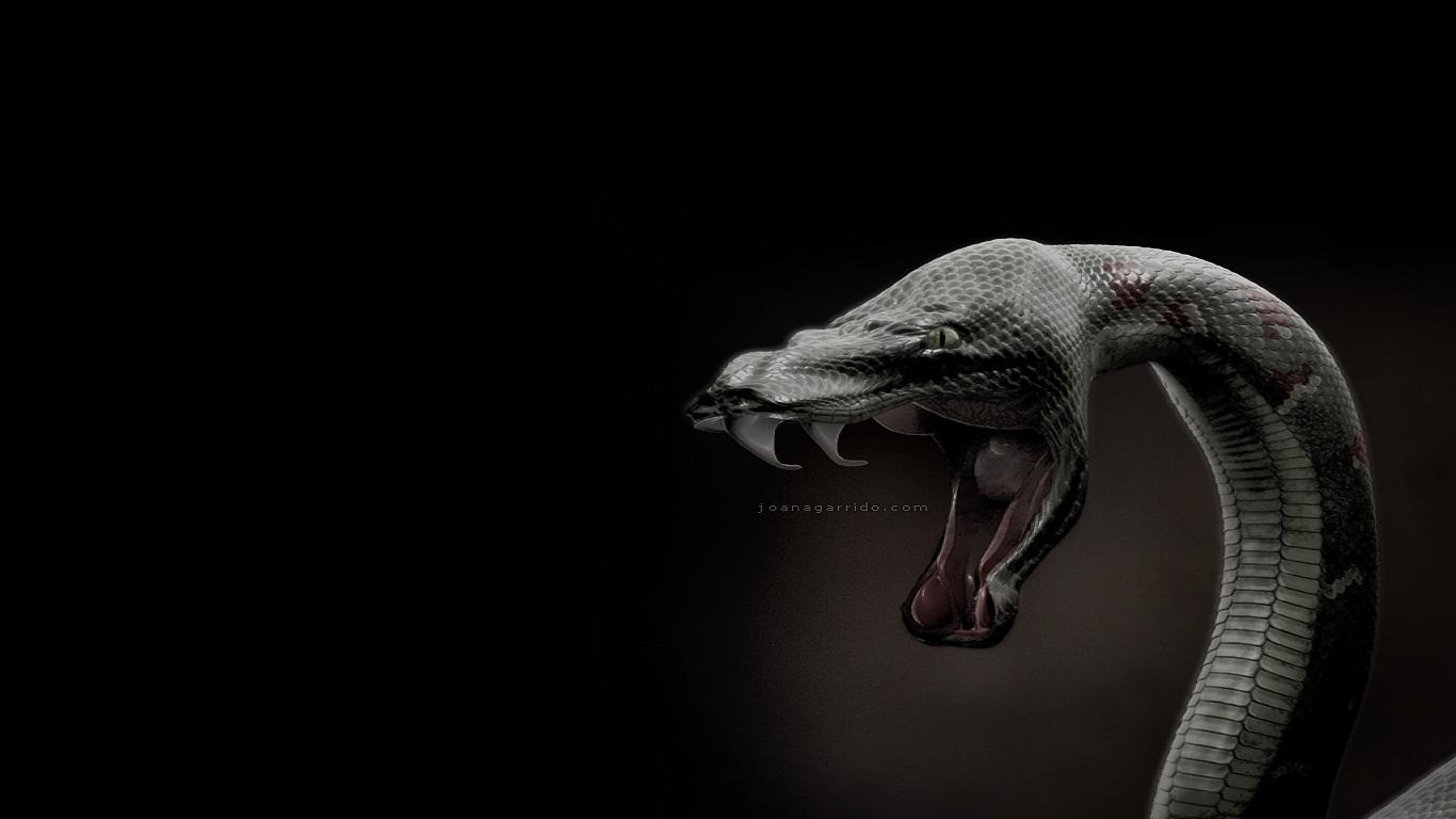 danger 3d wallpaper,reptile,scaled reptile,organism,3d modeling,serpent