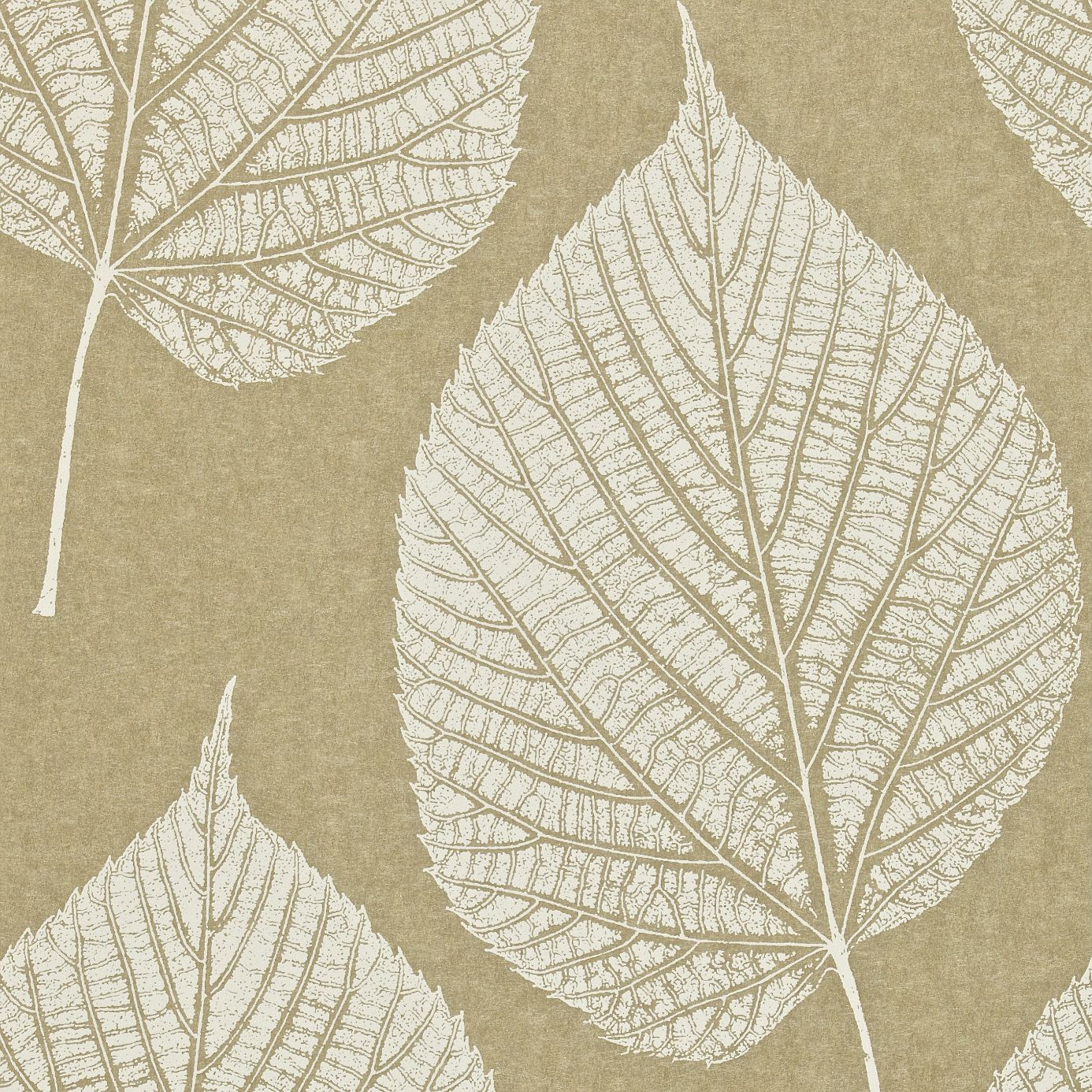 large leaf wallpaper,leaf,wallpaper,botany,plant,pattern