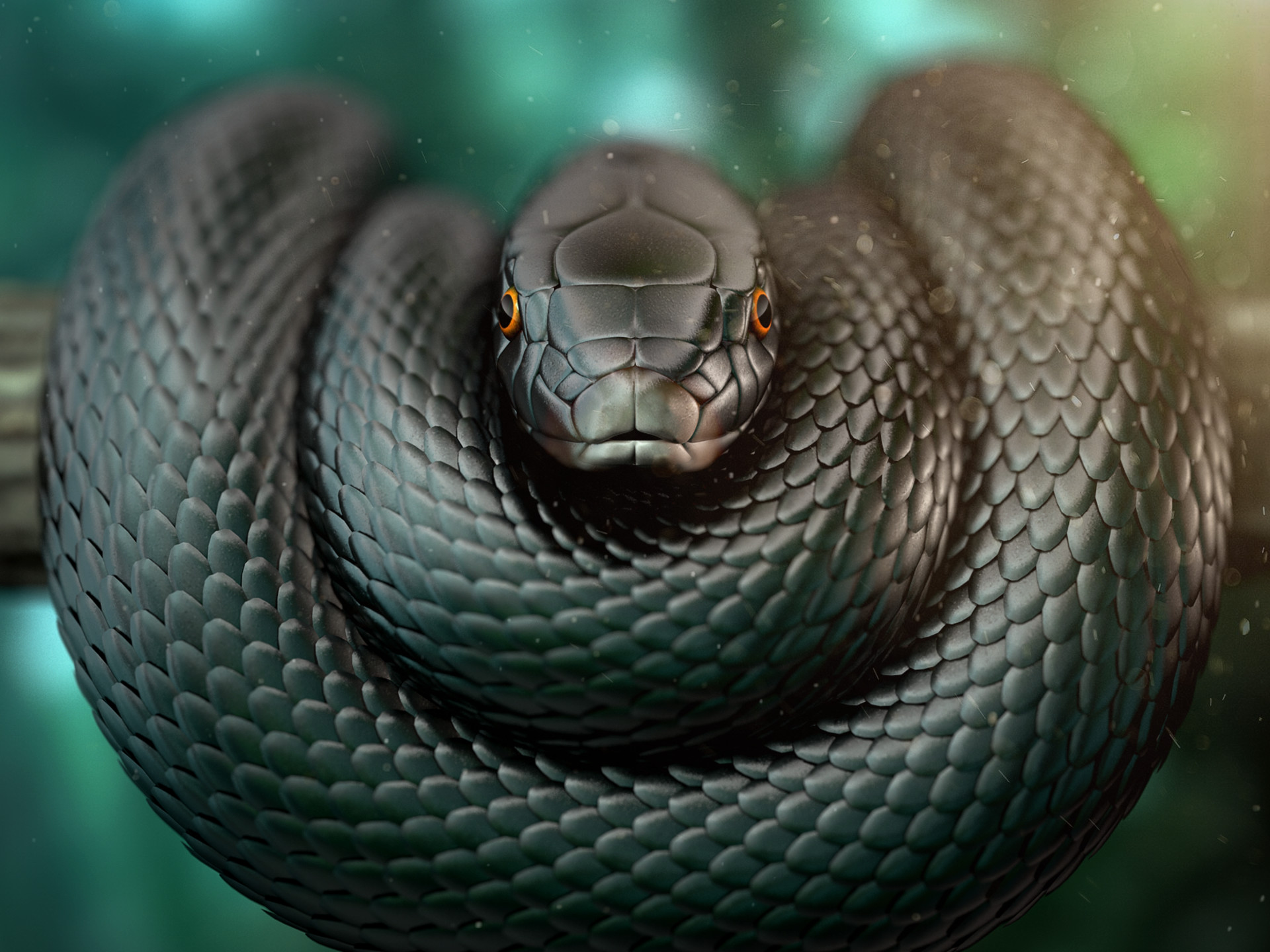 fond d'écran noir mamba,serpent,serpent,reptile,elapidae,animal terrestre
