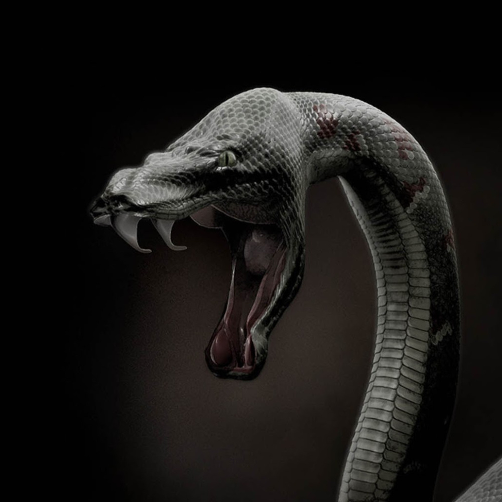 fondo de pantalla de mamba negro,serpiente,reptil,serpiente,modelado 3d,pitón