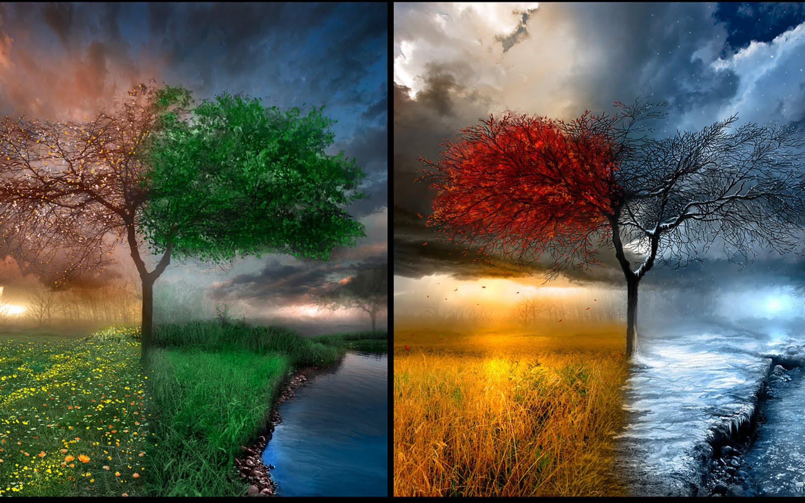 seasons wallpaper,natural landscape,nature,sky,tree,reflection