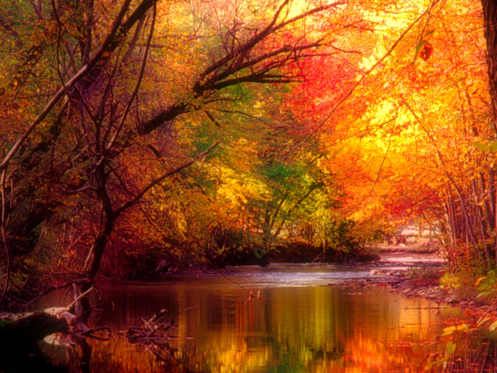 seasons wallpaper,natural landscape,nature,reflection,red,orange