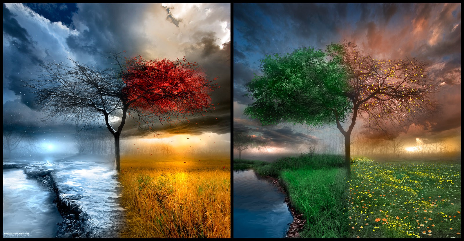 seasons wallpaper,natural landscape,nature,sky,tree,reflection