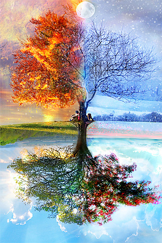 seasons wallpaper,nature,natural landscape,reflection,tree,sky