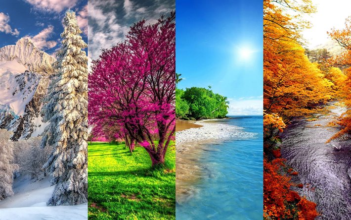 seasons wallpaper,natural landscape,nature,tree,sky,colorfulness