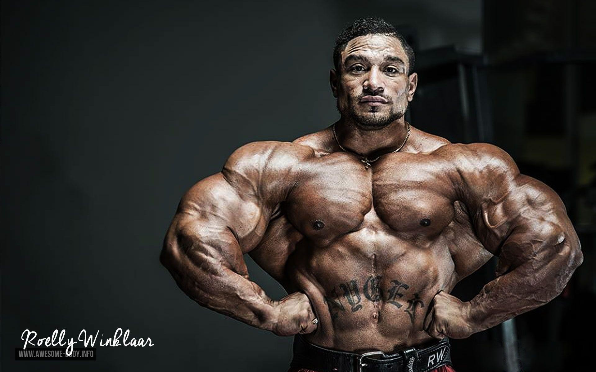 bodybuilder tapeten,bodybuilding,bodybuilder,ohne brust,schulter,körperliche fitness