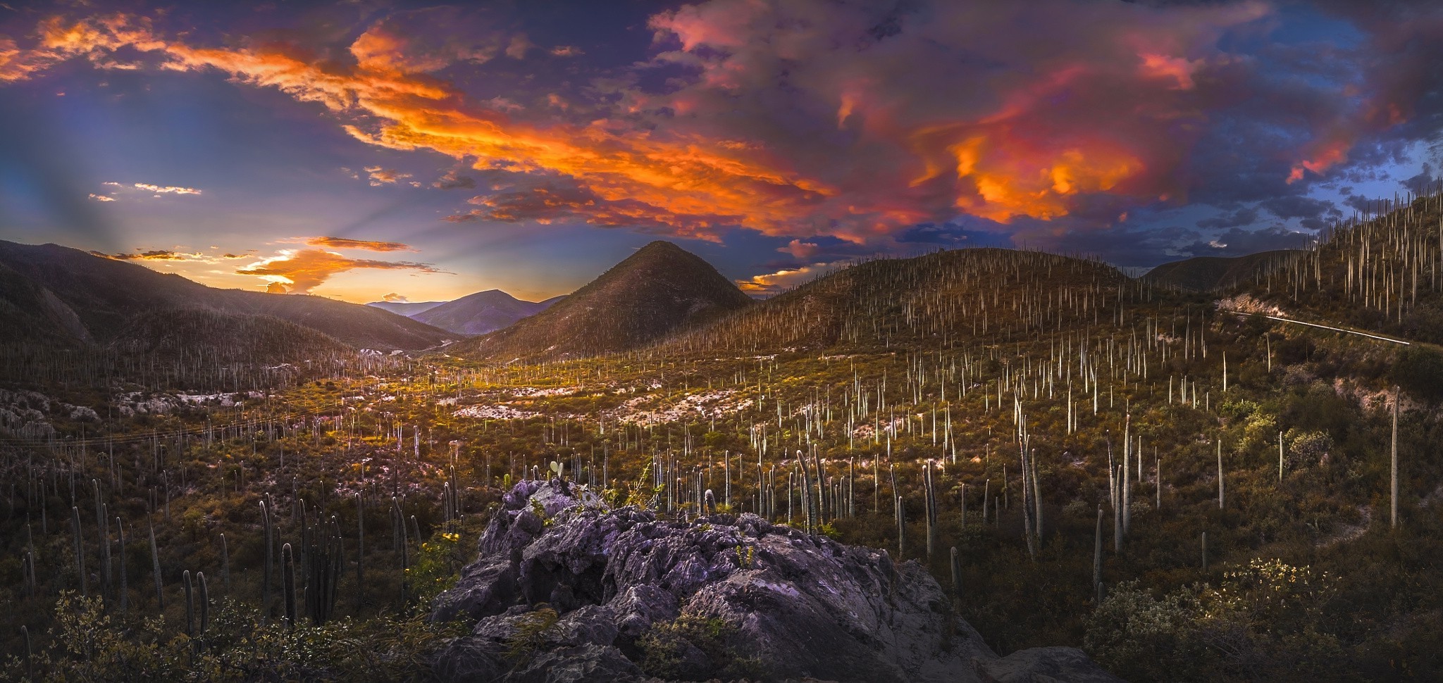 뉴 멕시코 벽지,하늘,자연,산,자연 경관,구름
