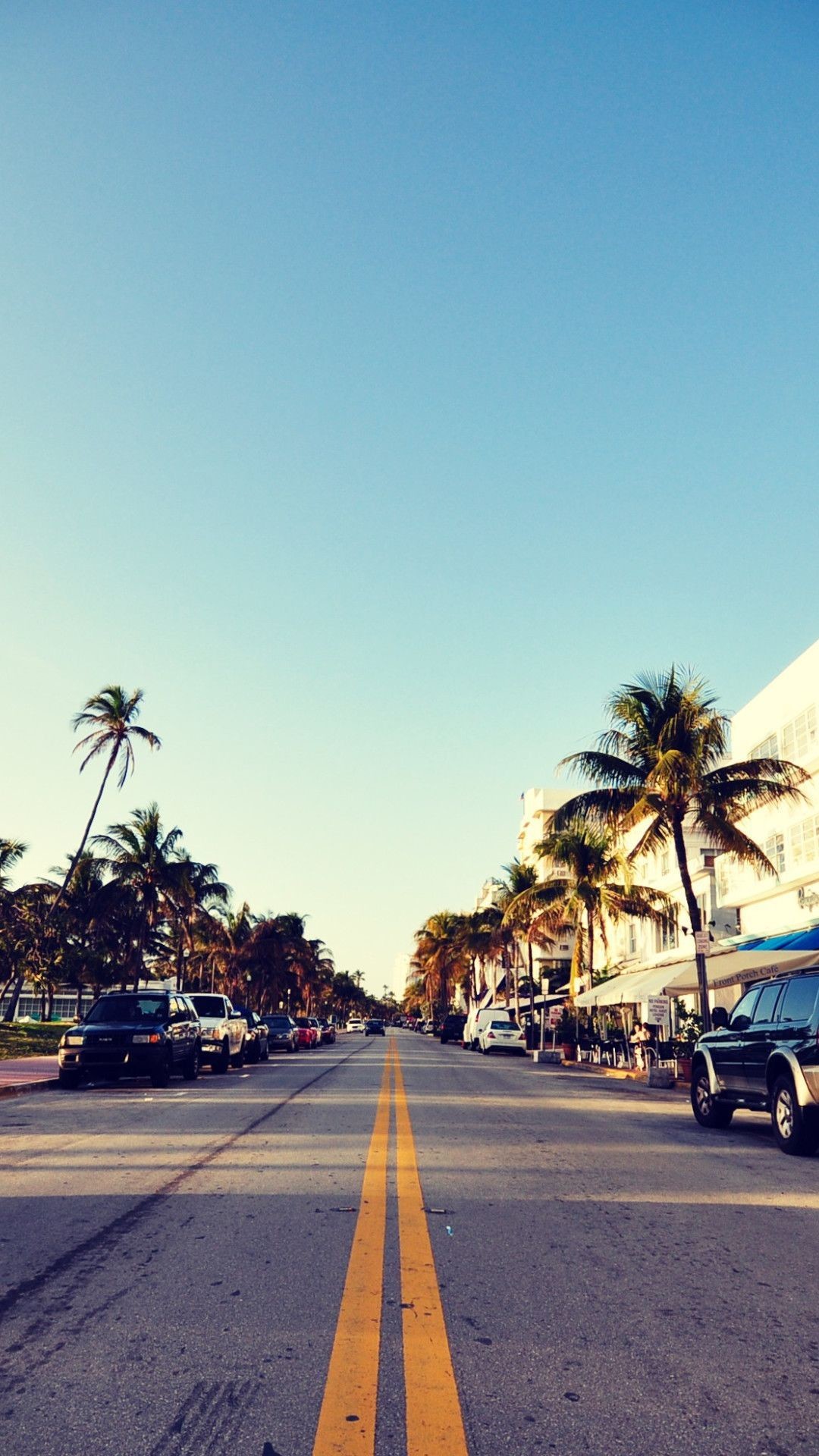 miami iphone wallpaper,sky,road,tree,palm tree,asphalt