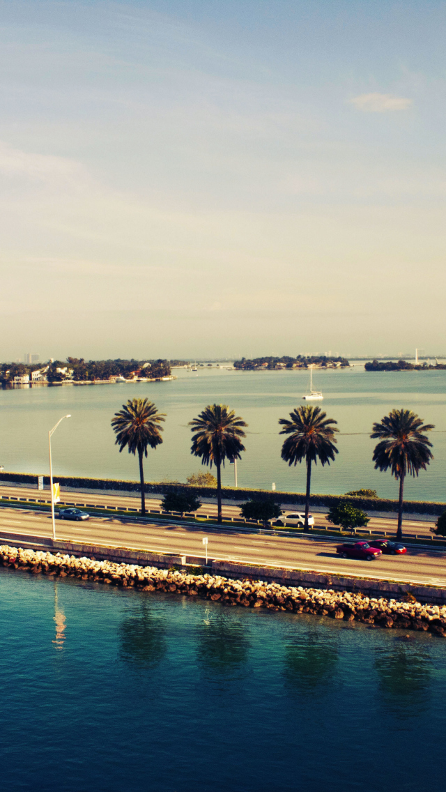 miami iphone wallpaper,water,tree,waterway,horizon,sea