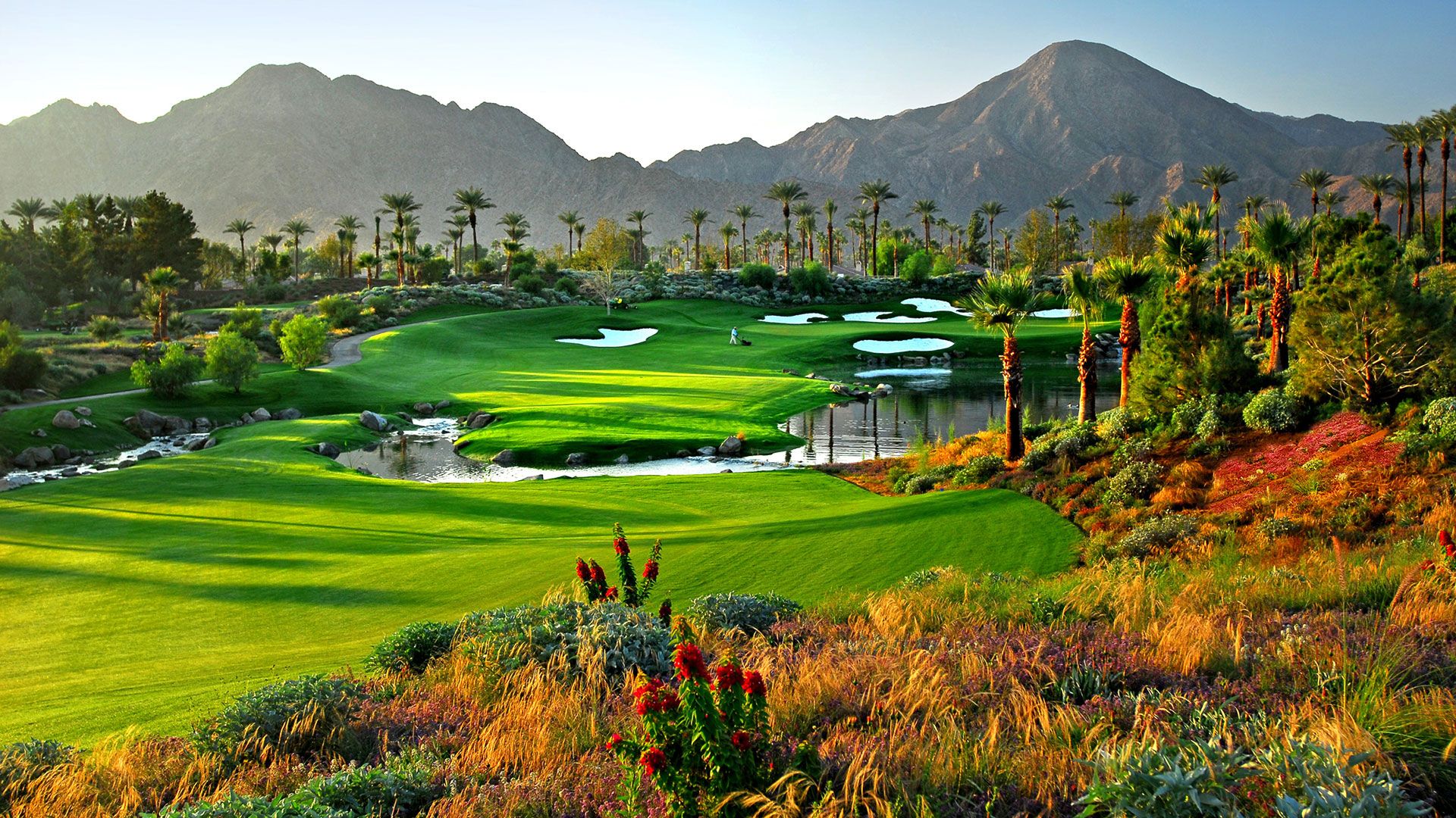 fondo de pantalla de palm springs,paisaje natural,naturaleza,pradera,campo de golf,estación de la colina