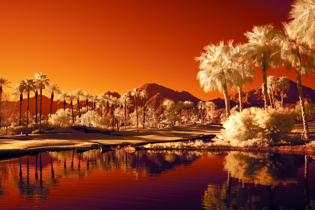 palm springs wallpaper,nature,reflection,sky,natural landscape,tree