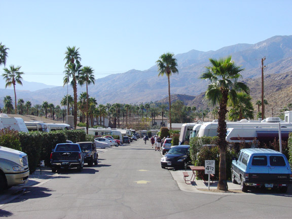 fondo de pantalla de palm springs,vehículo,pueblo,árbol,palmera,estacionamiento