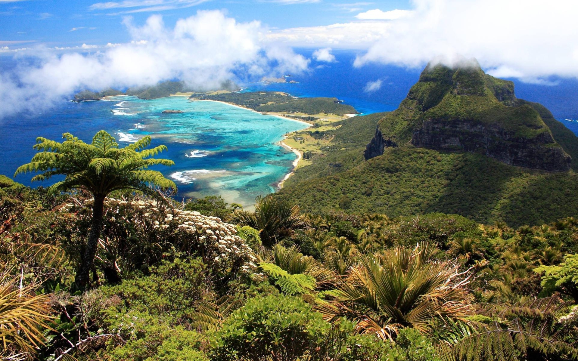 papier peint tropical australie,paysage naturel,la nature,montagne