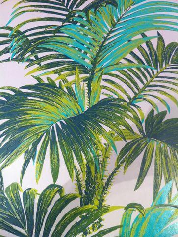 papel pintado tropical australia,planta,planta de casa,palmera,hoja,árbol