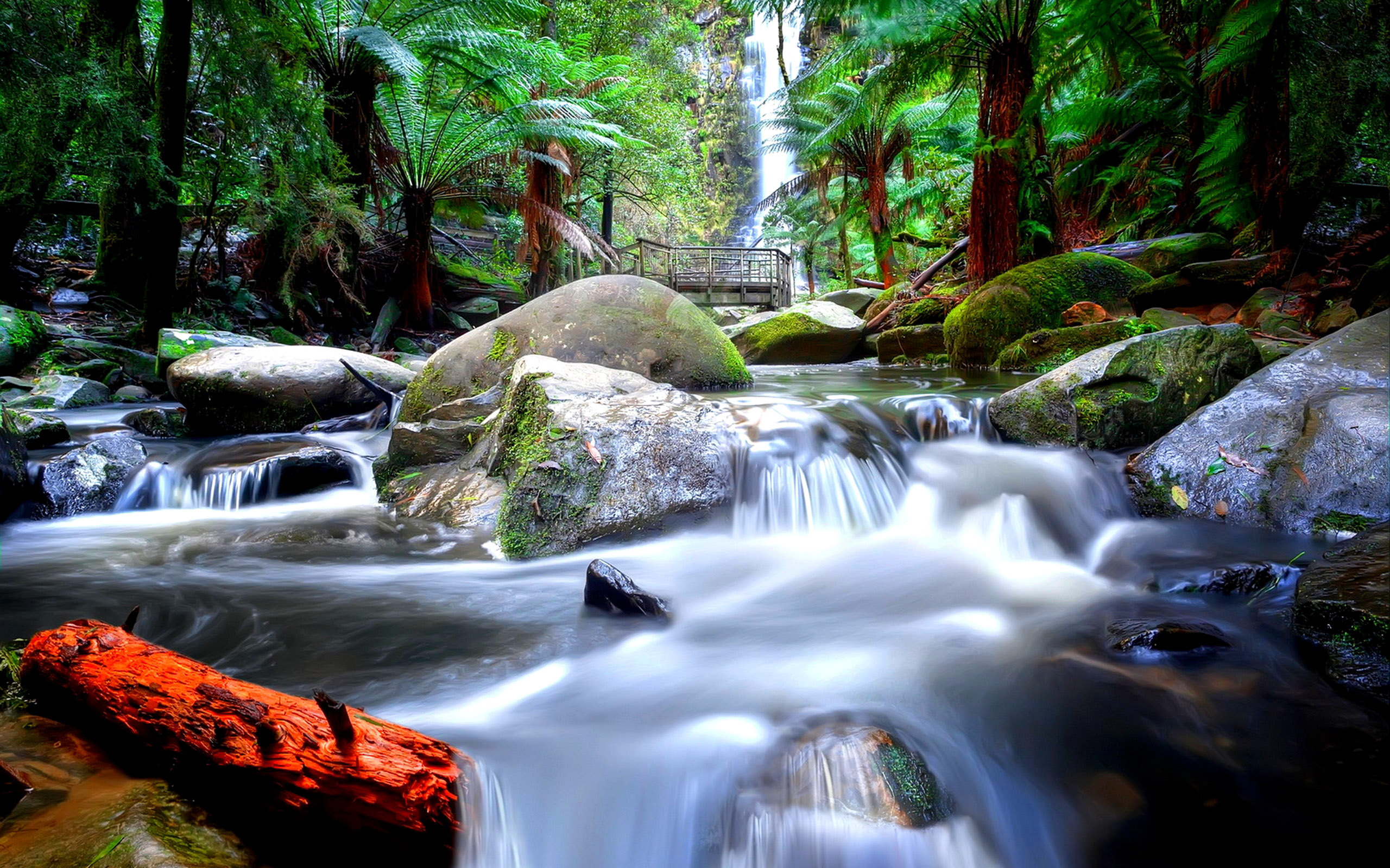 tropical wallpaper australia,body of water,waterfall,water resources,nature,natural landscape