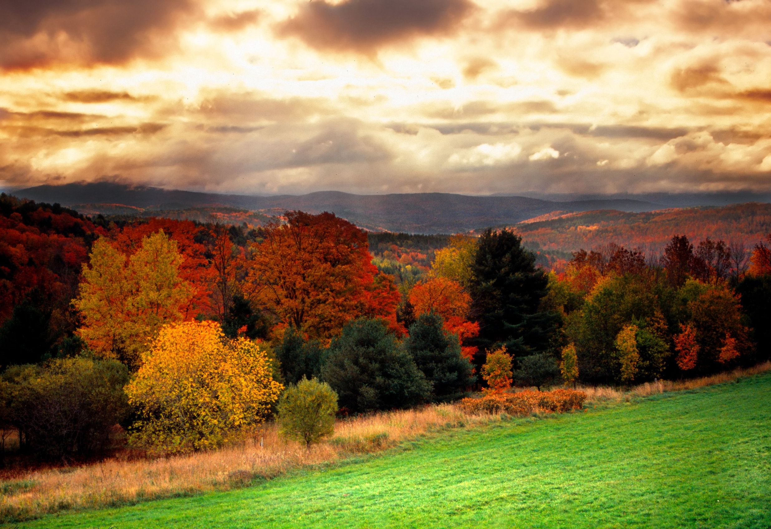 au wallpaper,natural landscape,sky,nature,leaf,red