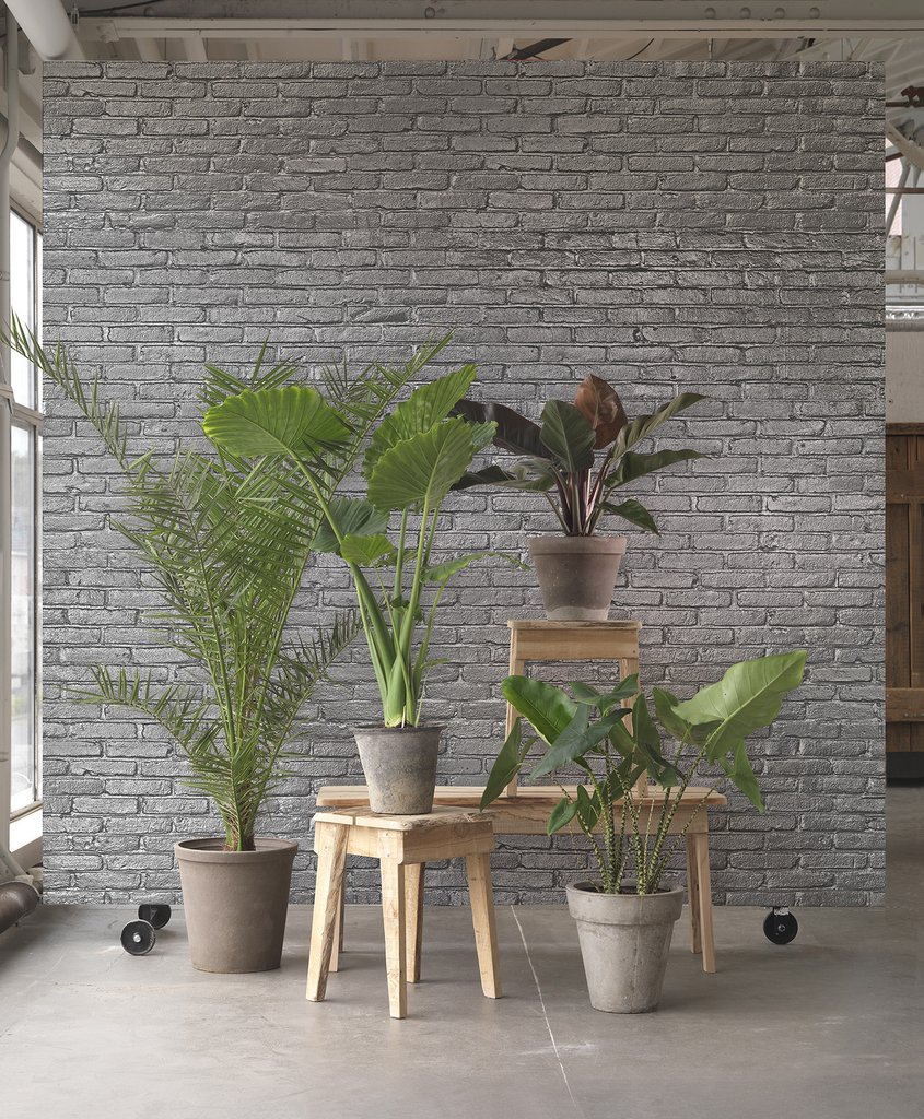 papier peint brique australie,pot de fleur,plante d'appartement,mur,plante,sol