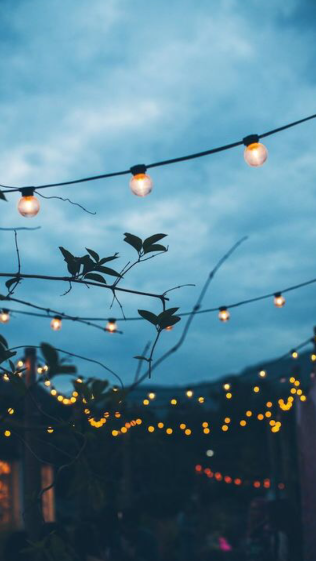 world best wallpaper of love,sky,blue,lighting,water,branch