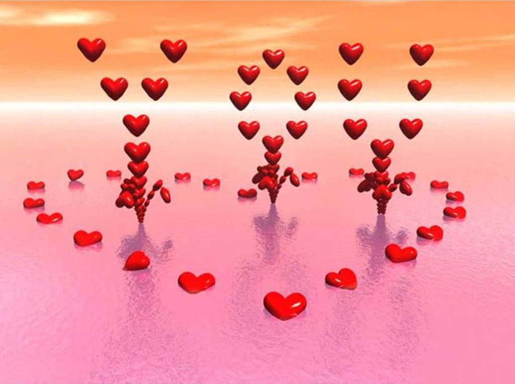 tout l'amour fond d'écran,rouge,cœur,rose,l'eau,la saint valentin