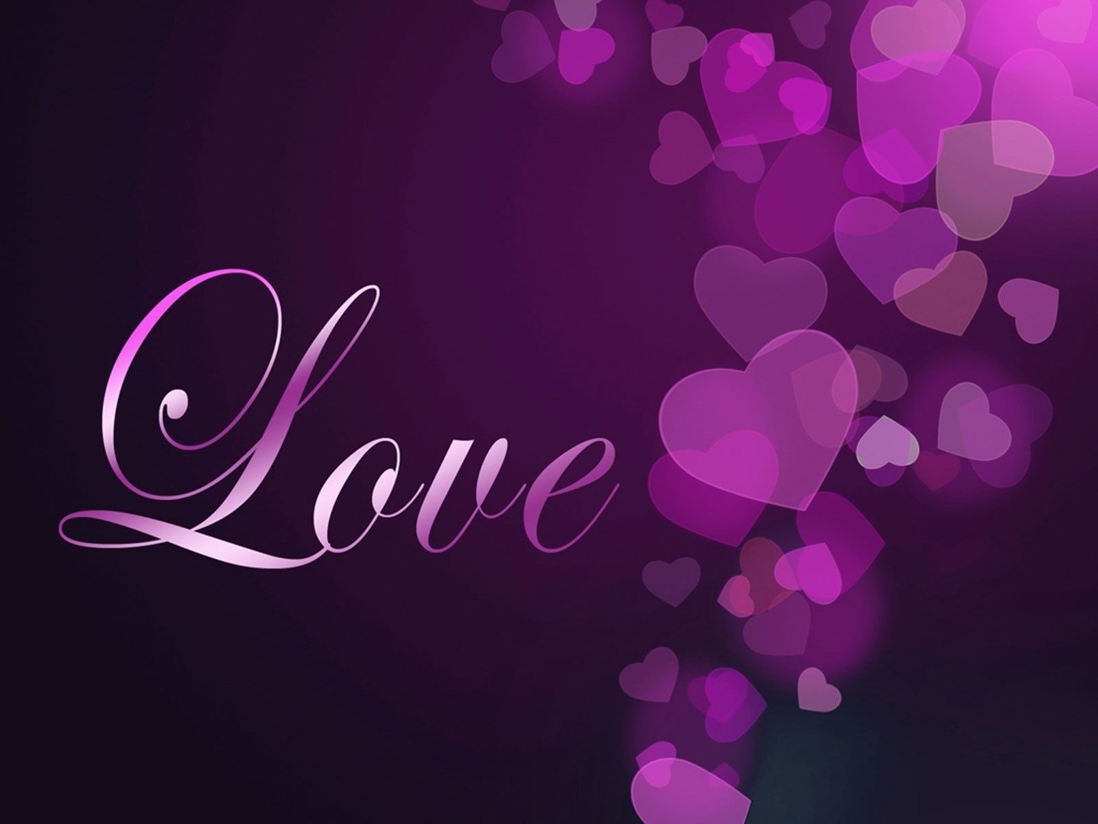 すべての愛の壁紙,テキスト,紫の,バイオレット,フォント,ピンク