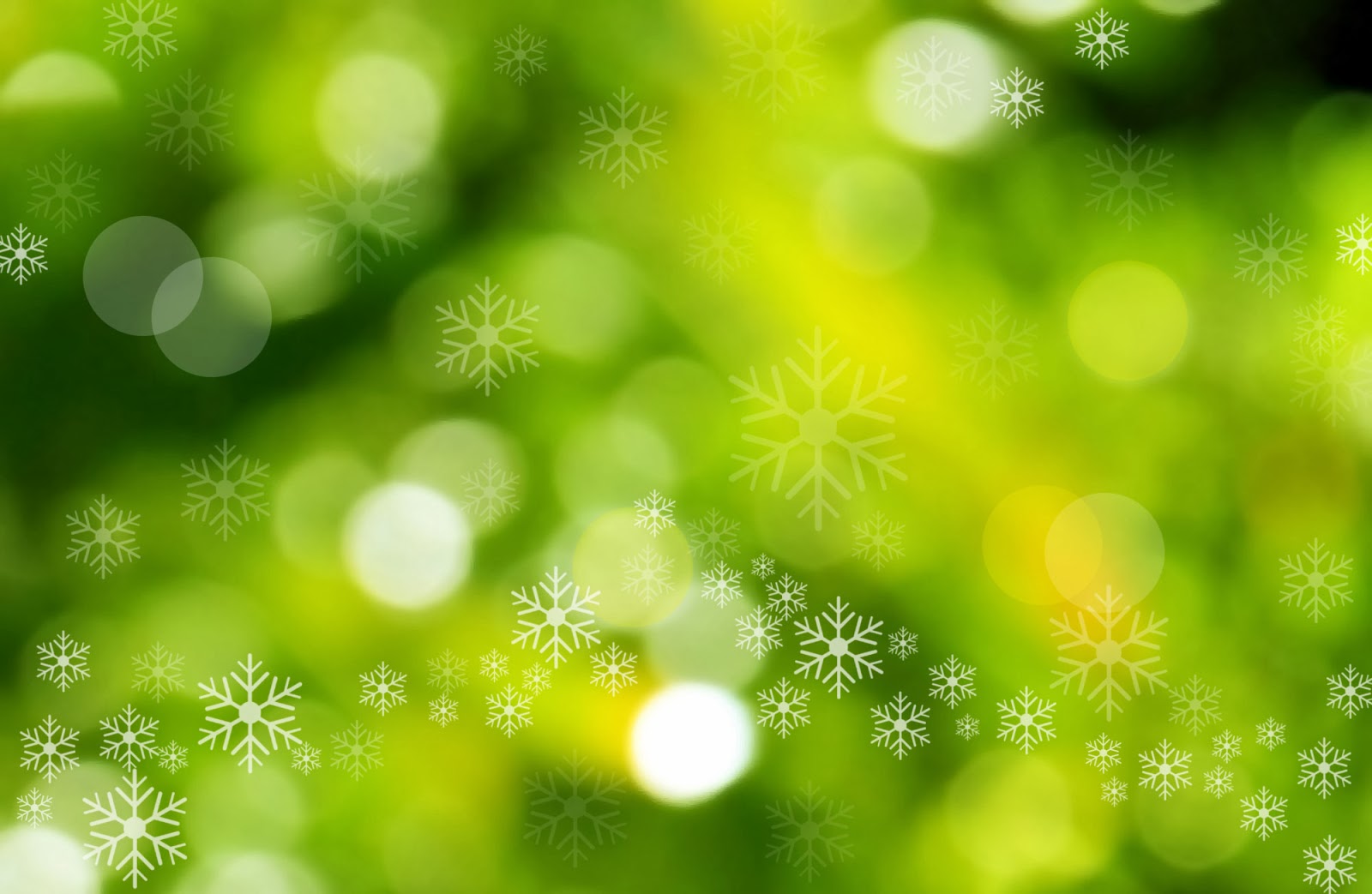 緑のクリスマスの壁紙,緑,自然,自然の風景,葉,日光