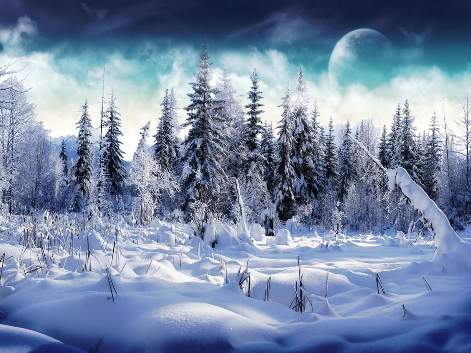 snowfall wallpaper hd,nature,winter,natural landscape,sky,snow