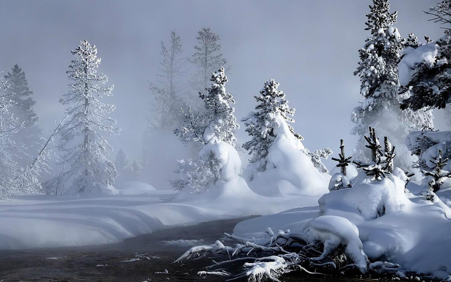 nevicata wallpaper hd,neve,inverno,natura,congelamento,albero