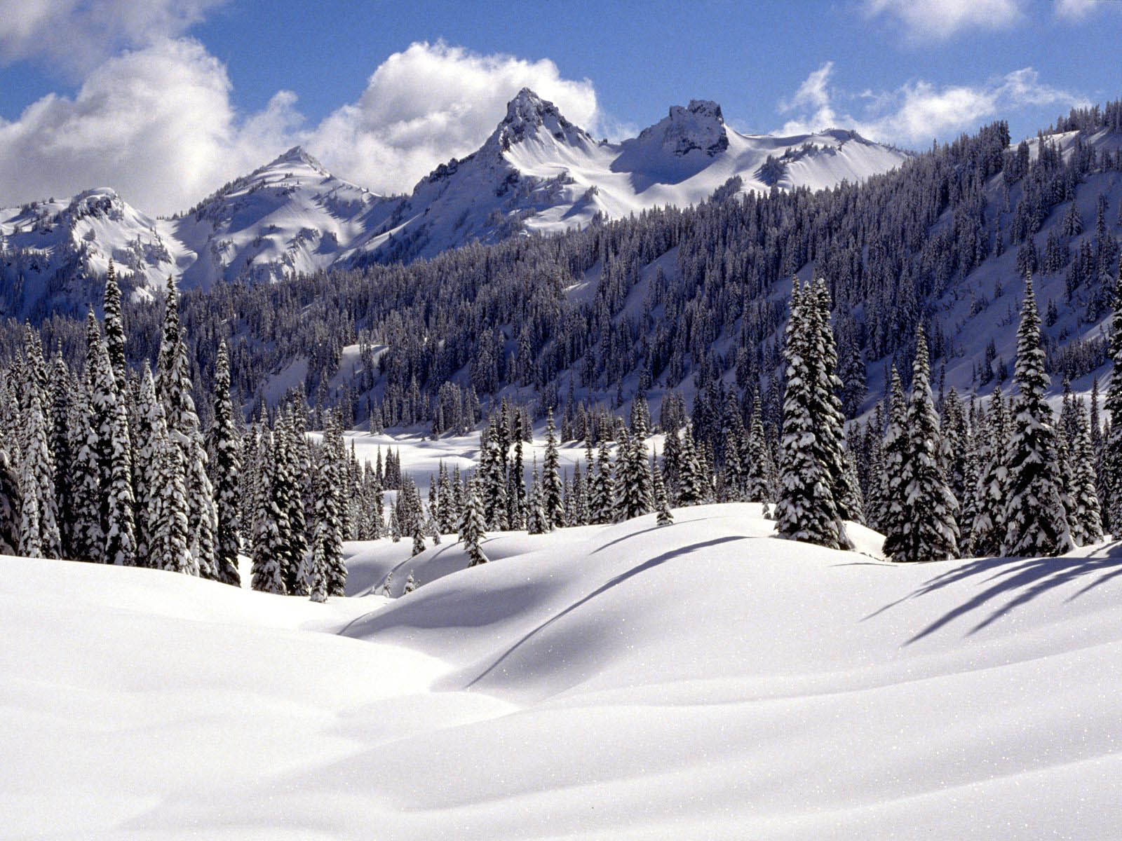 nevicata wallpaper hd,neve,montagna,inverno,natura,catena montuosa