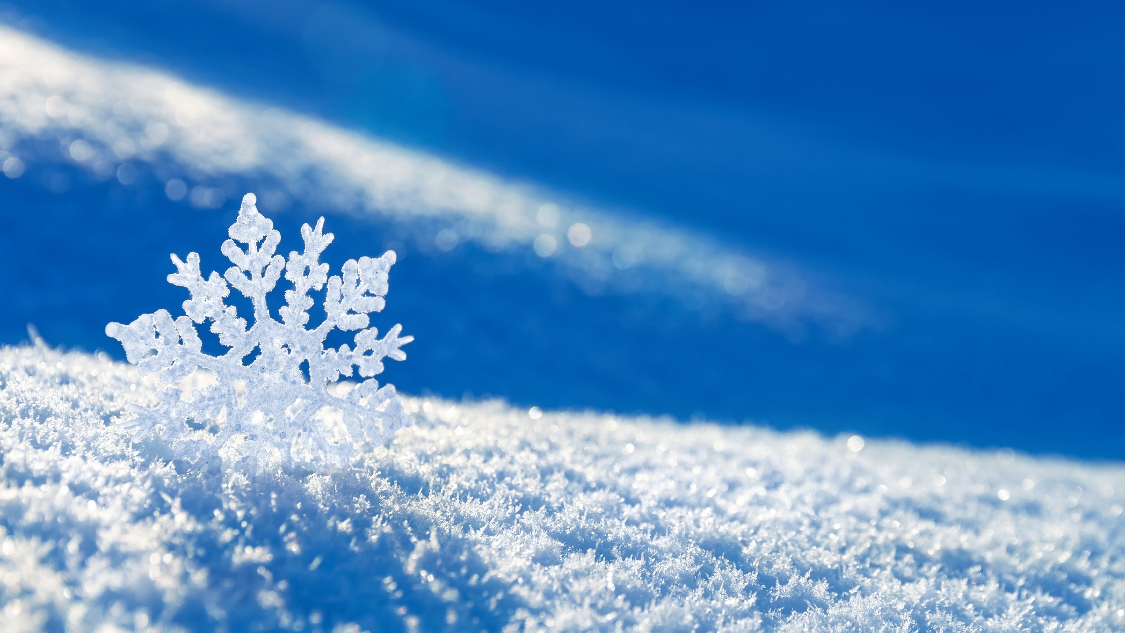 fond d'écran flocon de neige hd,neige,ciel,hiver,gel,gelé