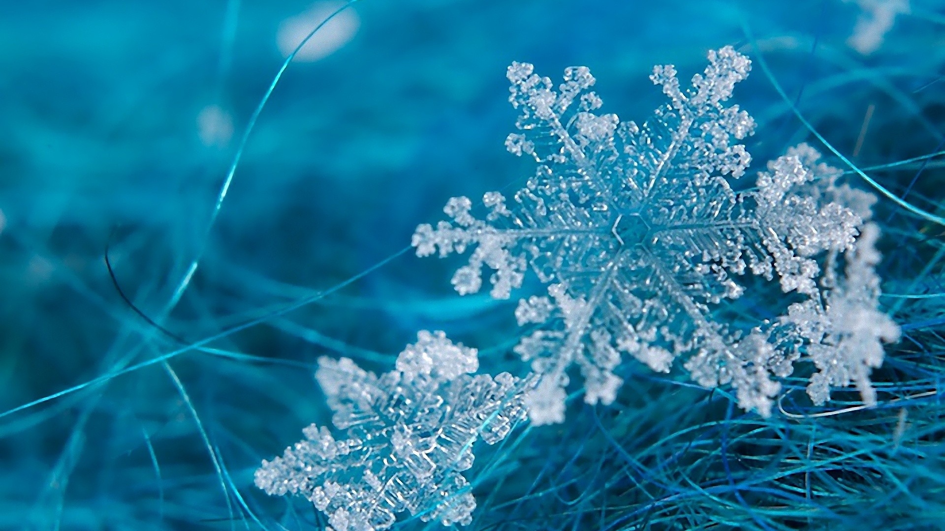 snowflake wallpaper hd,blue,winter,frost,aqua,water