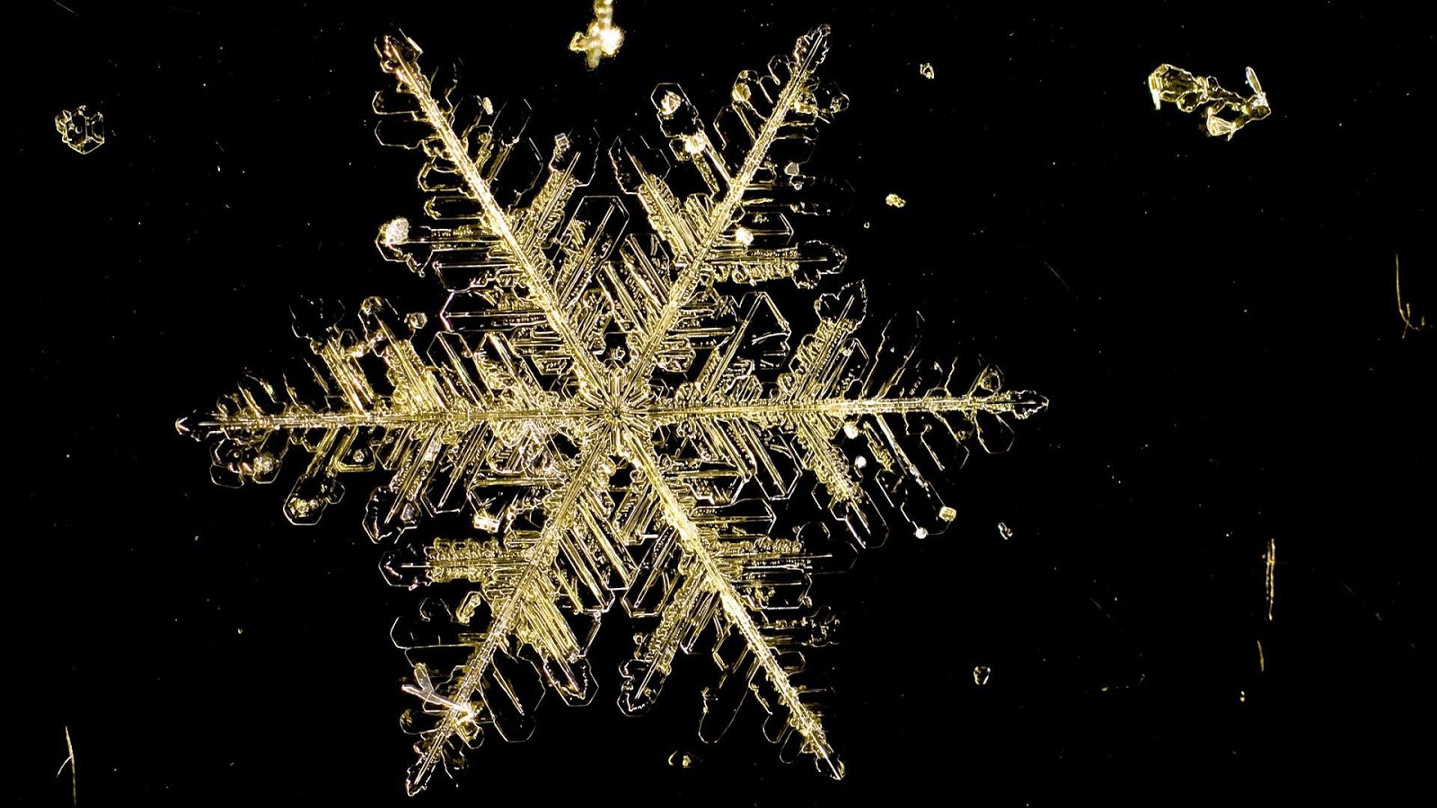 snowflake wallpaper hd,snowflake,darkness,fête,winter,interior design