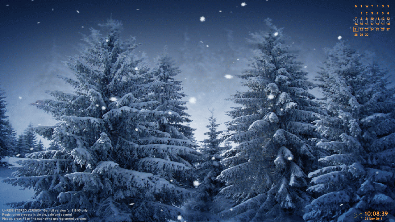 fond d'écran animé de neige,épinette noire à feuilles courtes,épicéa du colorado,arbre,hiver,la nature