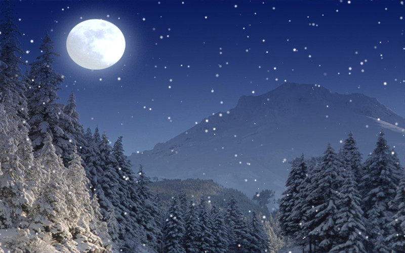 アニメーションの雪の壁紙,空,自然,夜,冬,光