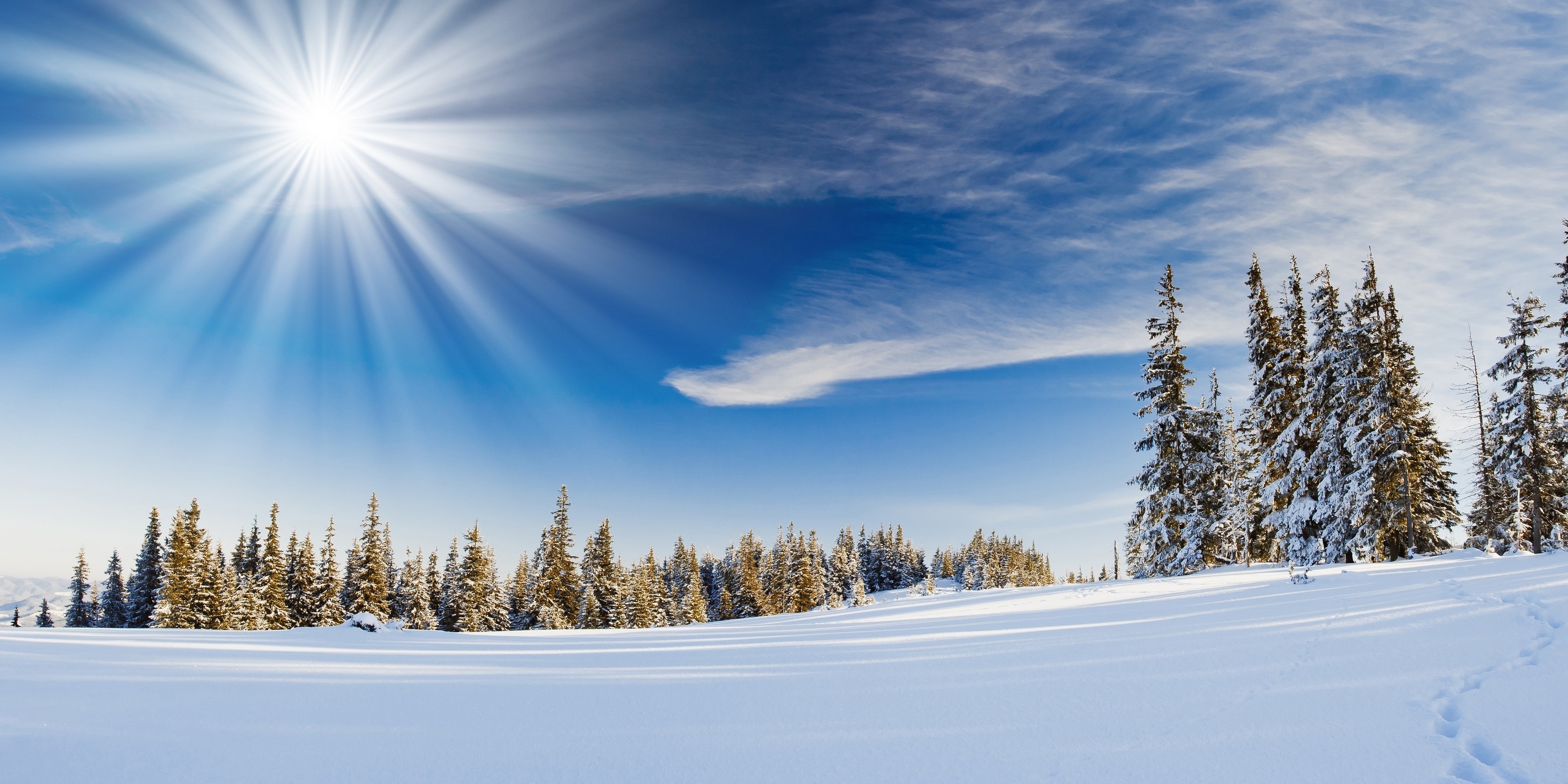 carta da parati paesaggio di neve,neve,inverno,cielo,natura,albero