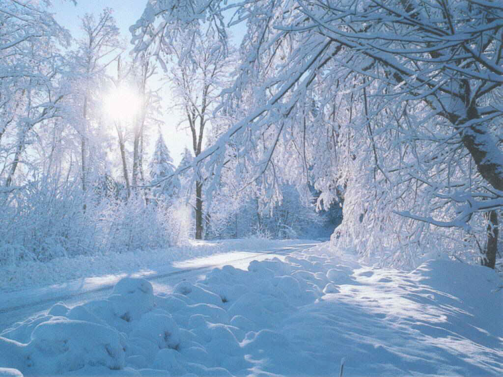 snow landscape wallpaper,snow,winter,frost,nature,freezing