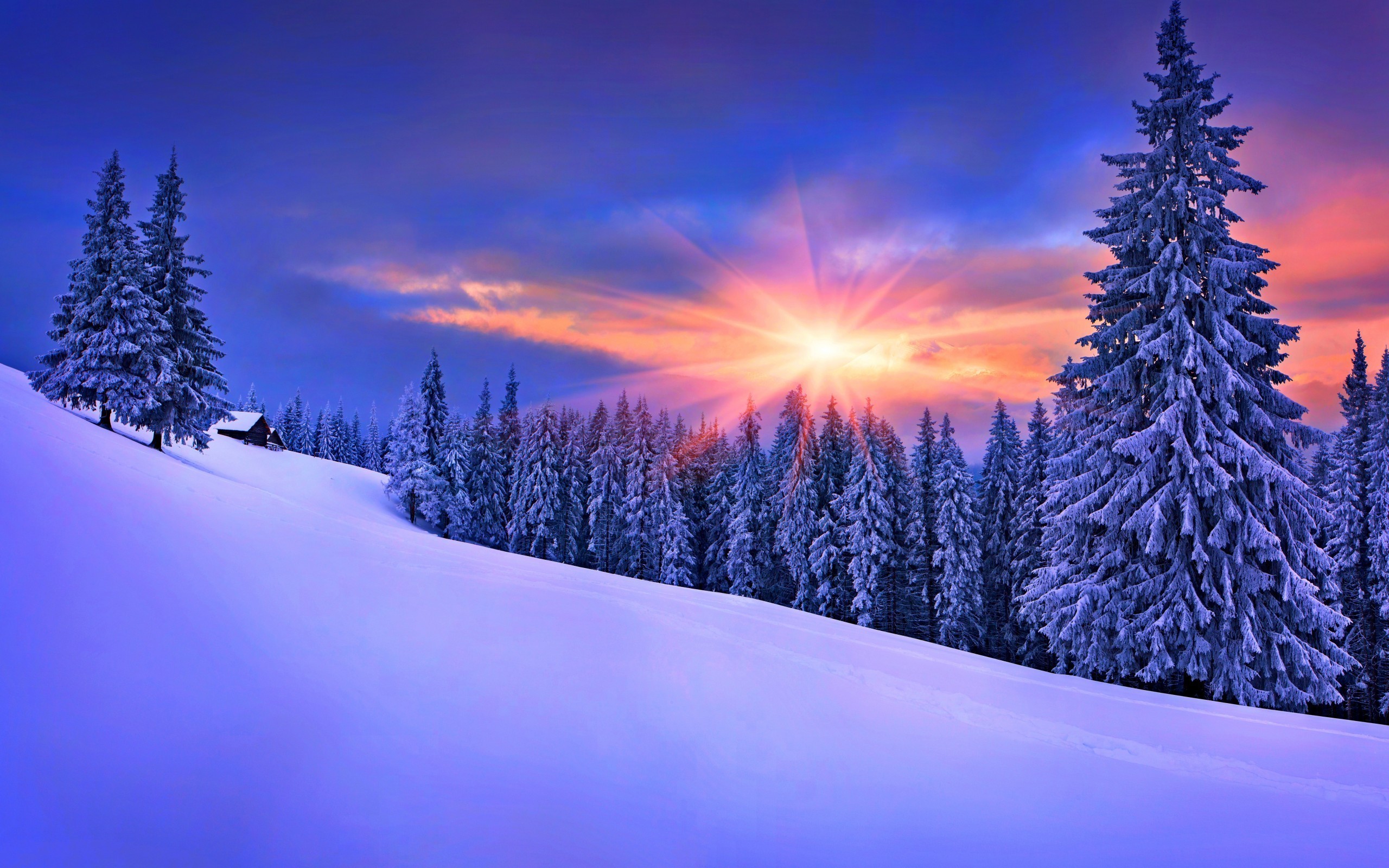 雪の風景の壁紙,雪,冬,自然,空,木