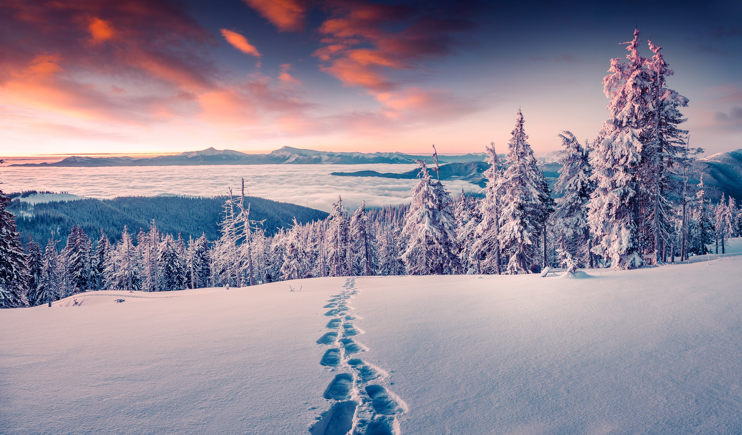 fond d'écran paysage de neige,neige,hiver,ciel,la nature,paysage naturel