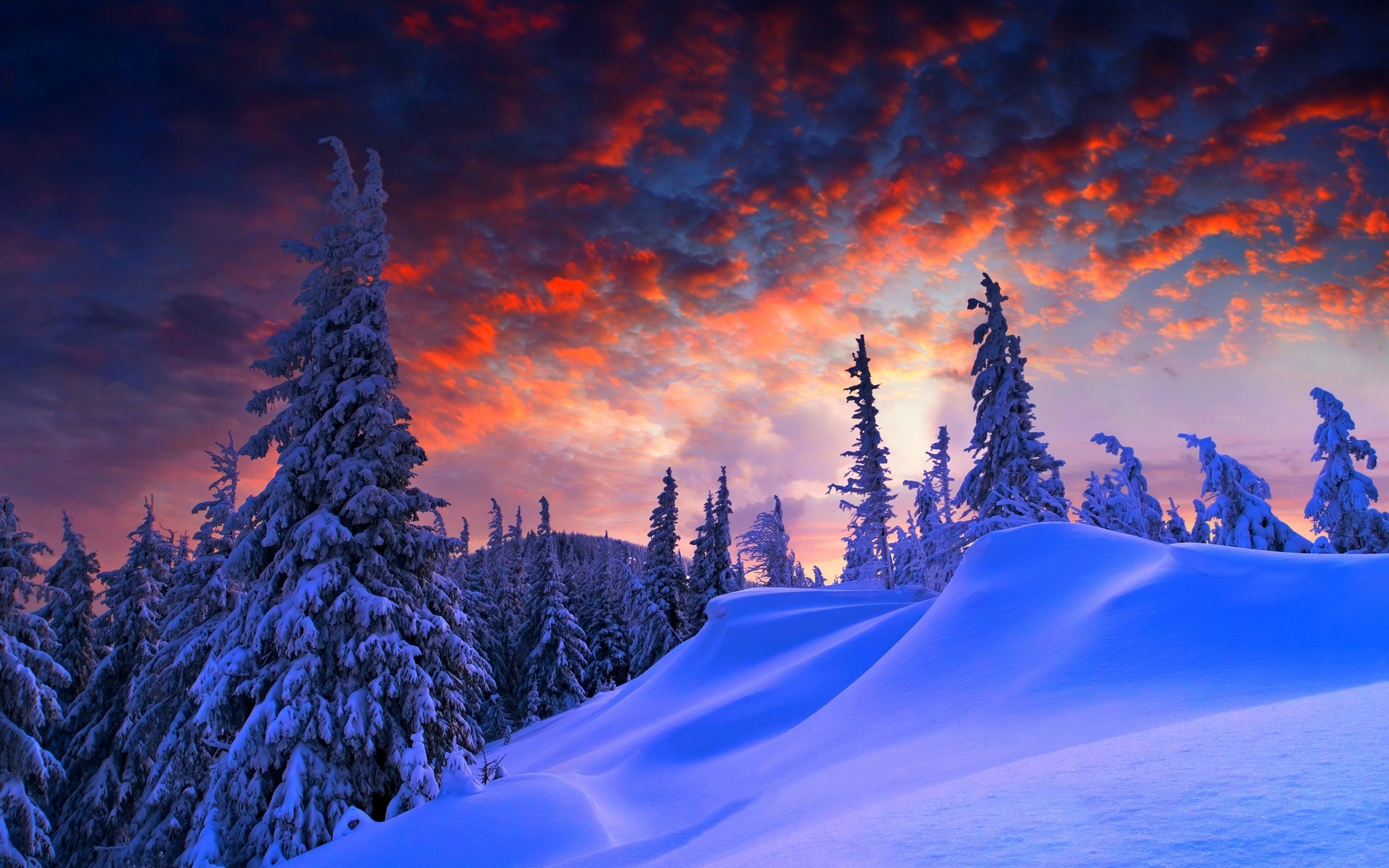 雪の風景の壁紙,空,自然,雪,冬,木