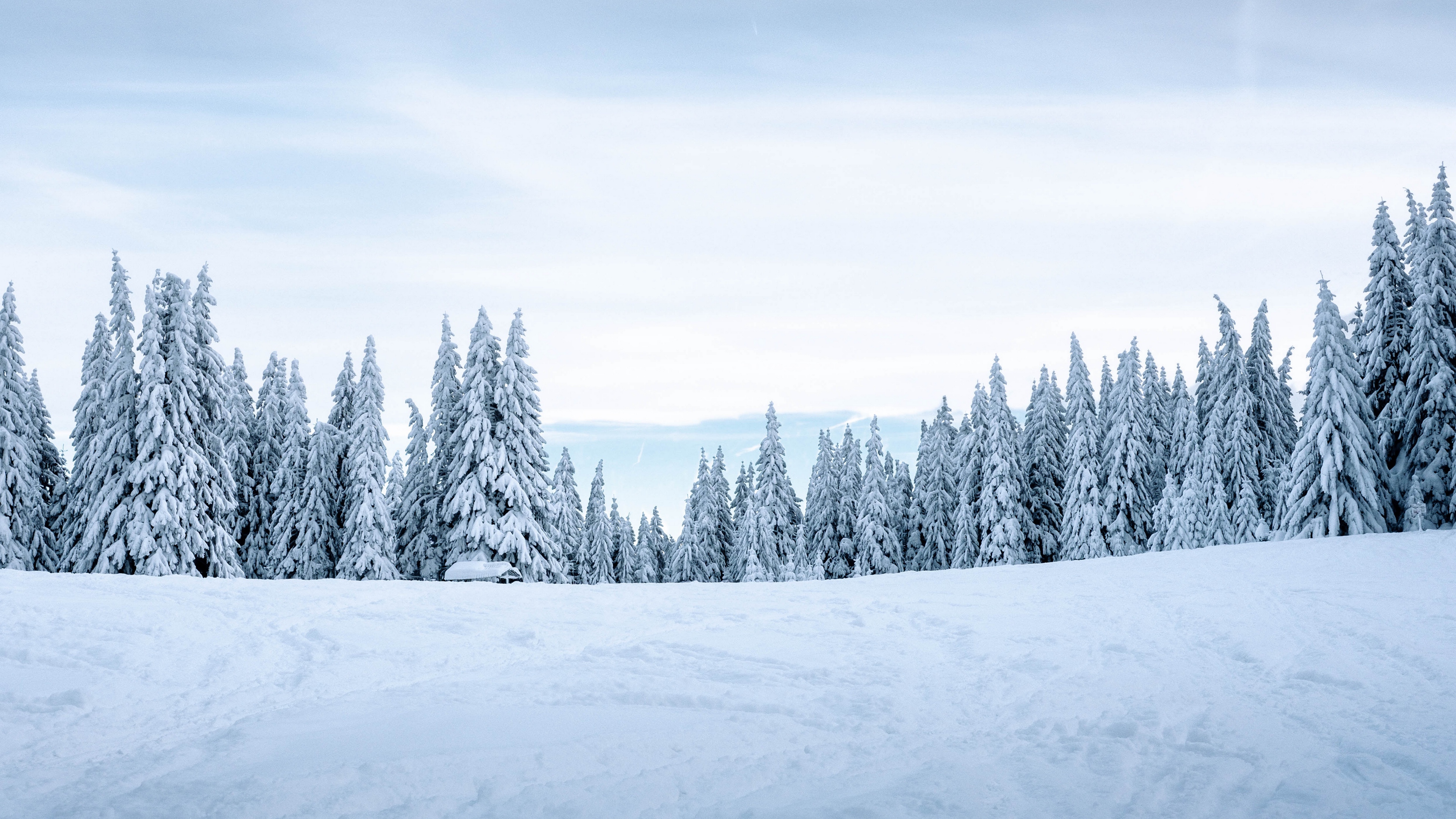 snow landscape wallpaper,snow,winter,sky,tree,nature