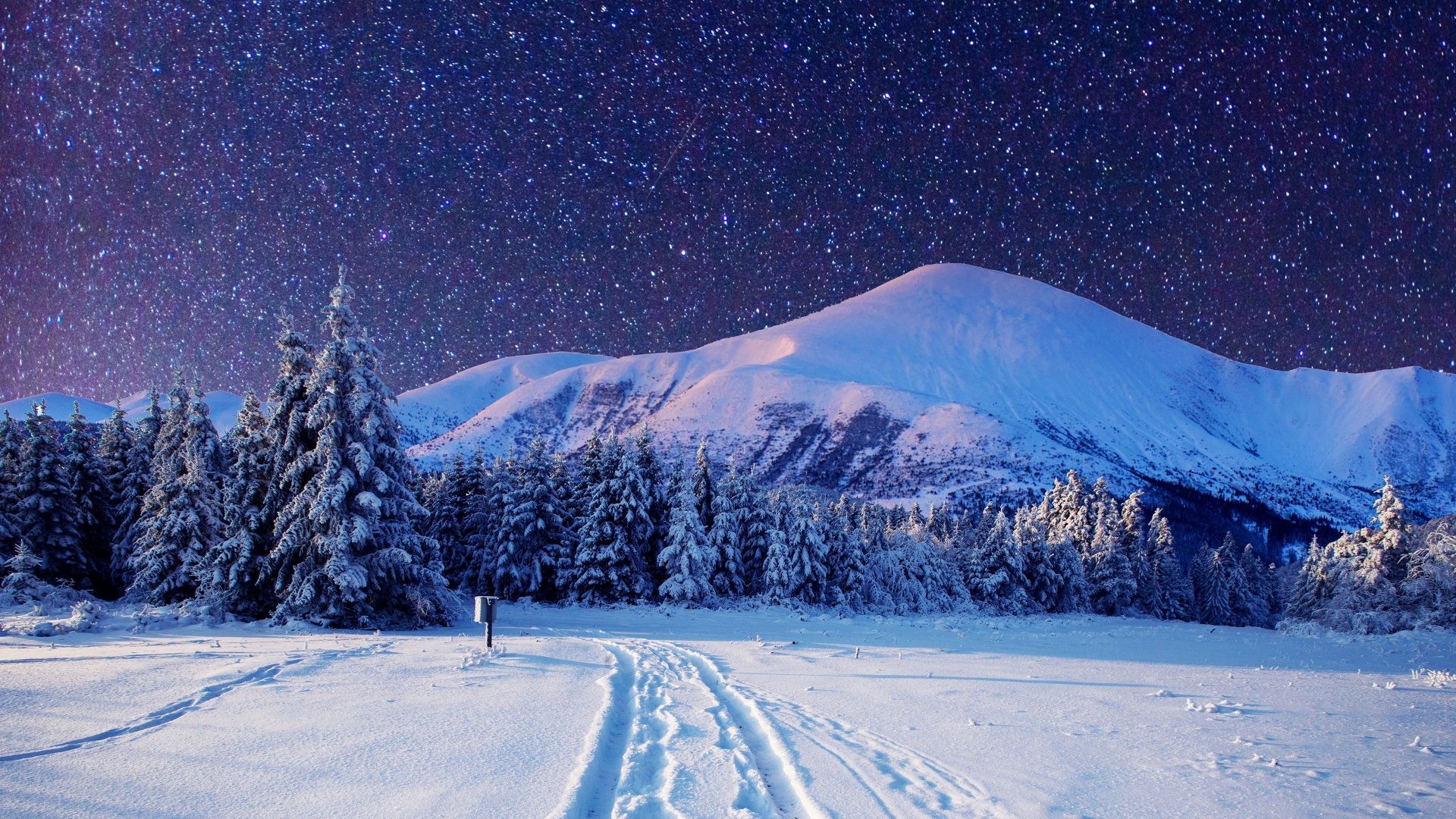 雪の風景の壁紙,雪,冬,空,木,山