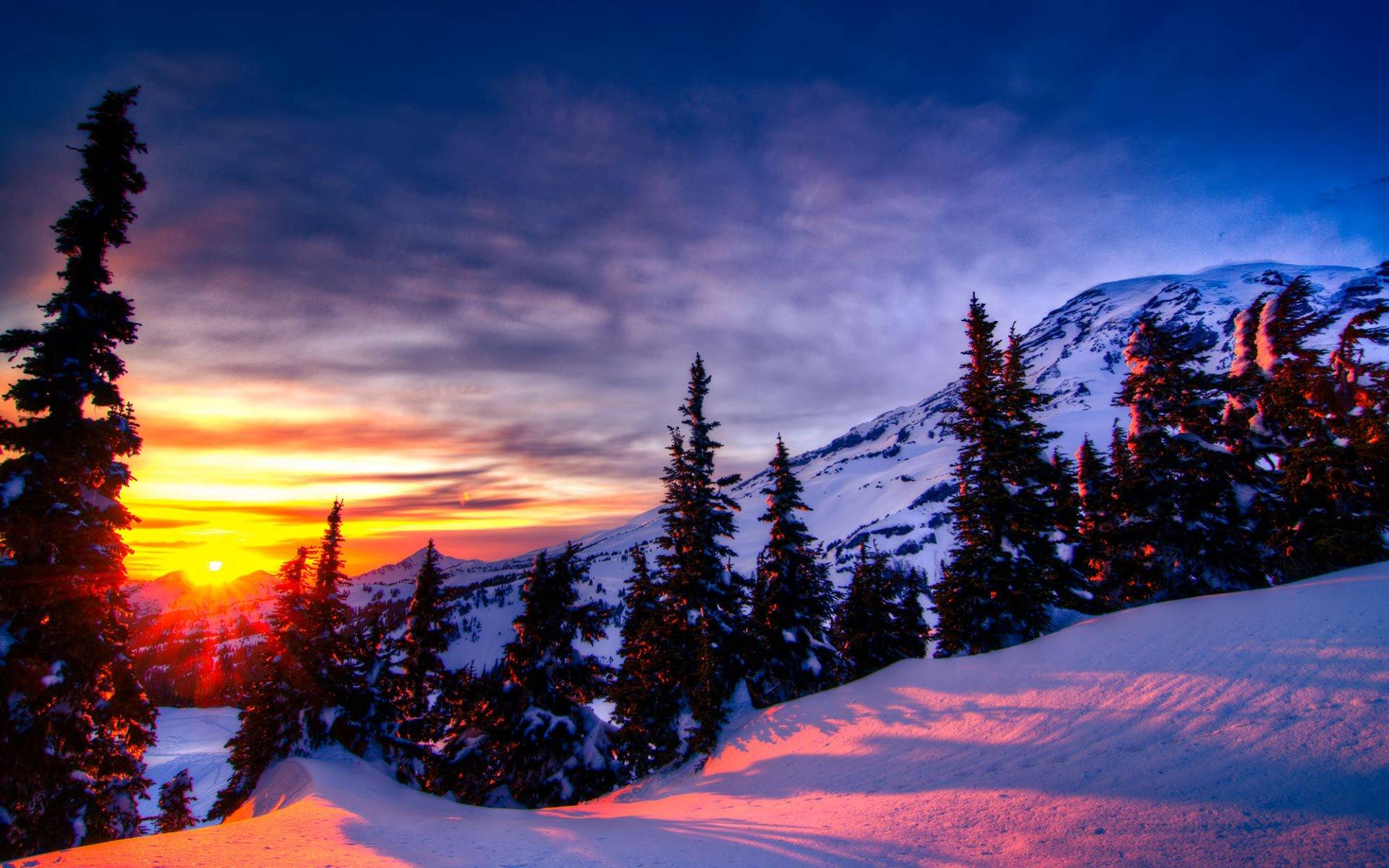 carta da parati paesaggio di neve,cielo,neve,natura,inverno,albero