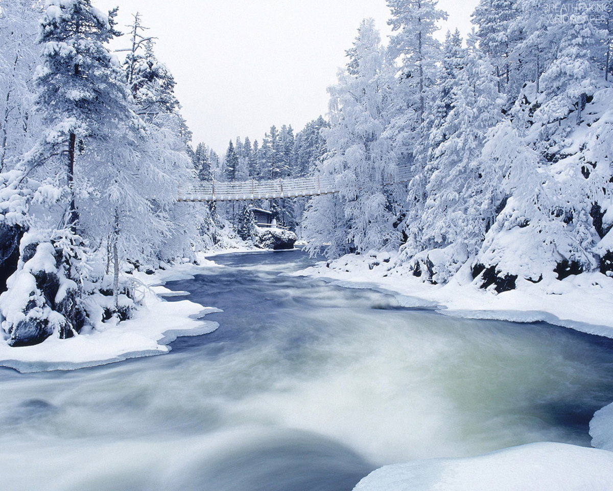 雪の風景の壁紙,雪,冬,自然,凍結,木