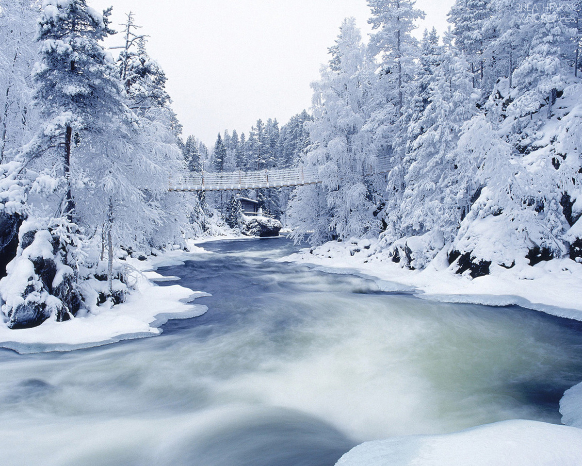 carta da parati paesaggio di neve,neve,inverno,natura,congelamento,albero