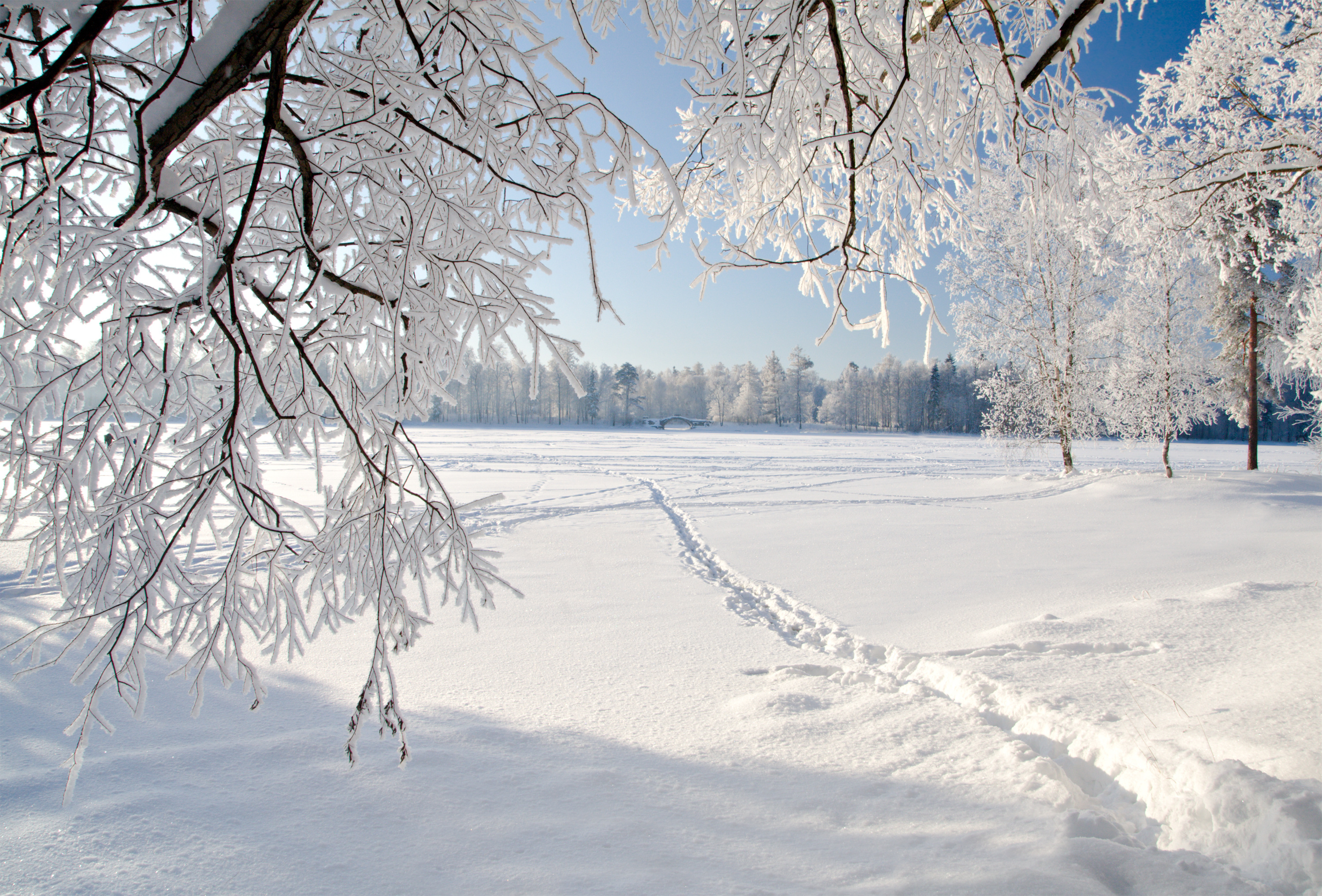 carta da parati paesaggio di neve,neve,inverno,natura,cielo,paesaggio naturale