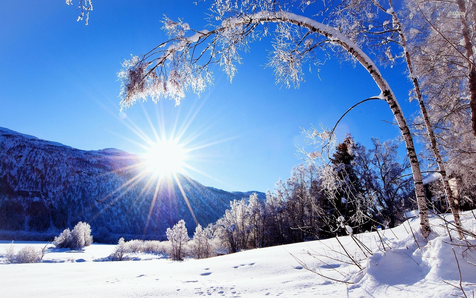 carta da parati paesaggio di neve,inverno,neve,cielo,natura,paesaggio naturale